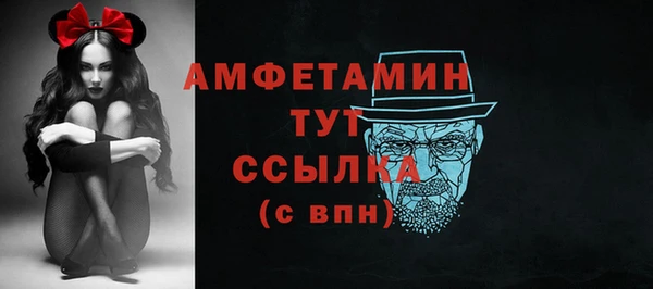 МДПВ Дмитриев