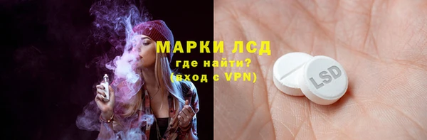 прущий лед Алзамай