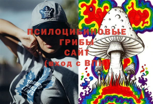 прущий лед Алзамай